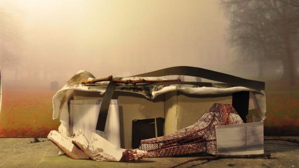 Marion van Harreveld