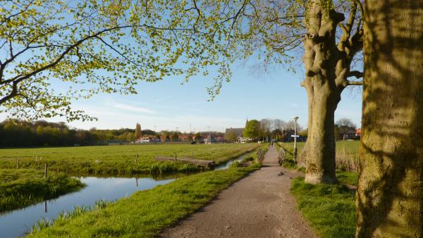 Westelijk Tuinbouwgebied